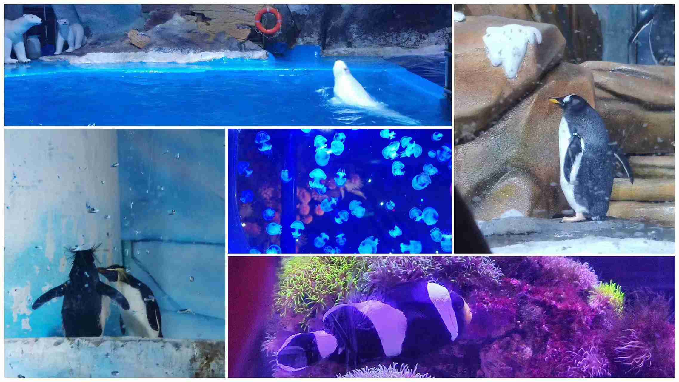 ����ͻ��-������κ�����_MG������Ϸ