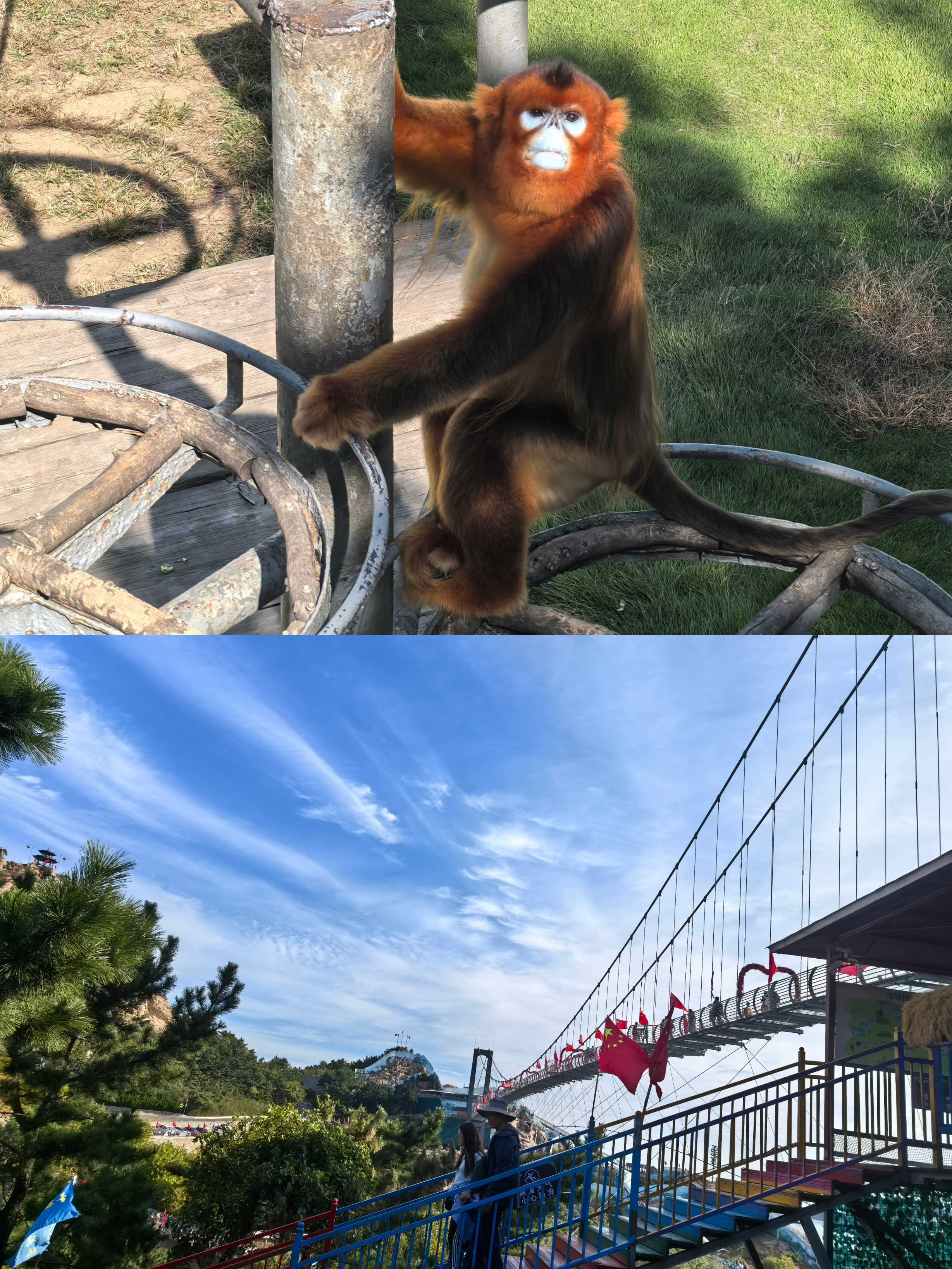 ����ͻ��-������κ�����_MG������Ϸ