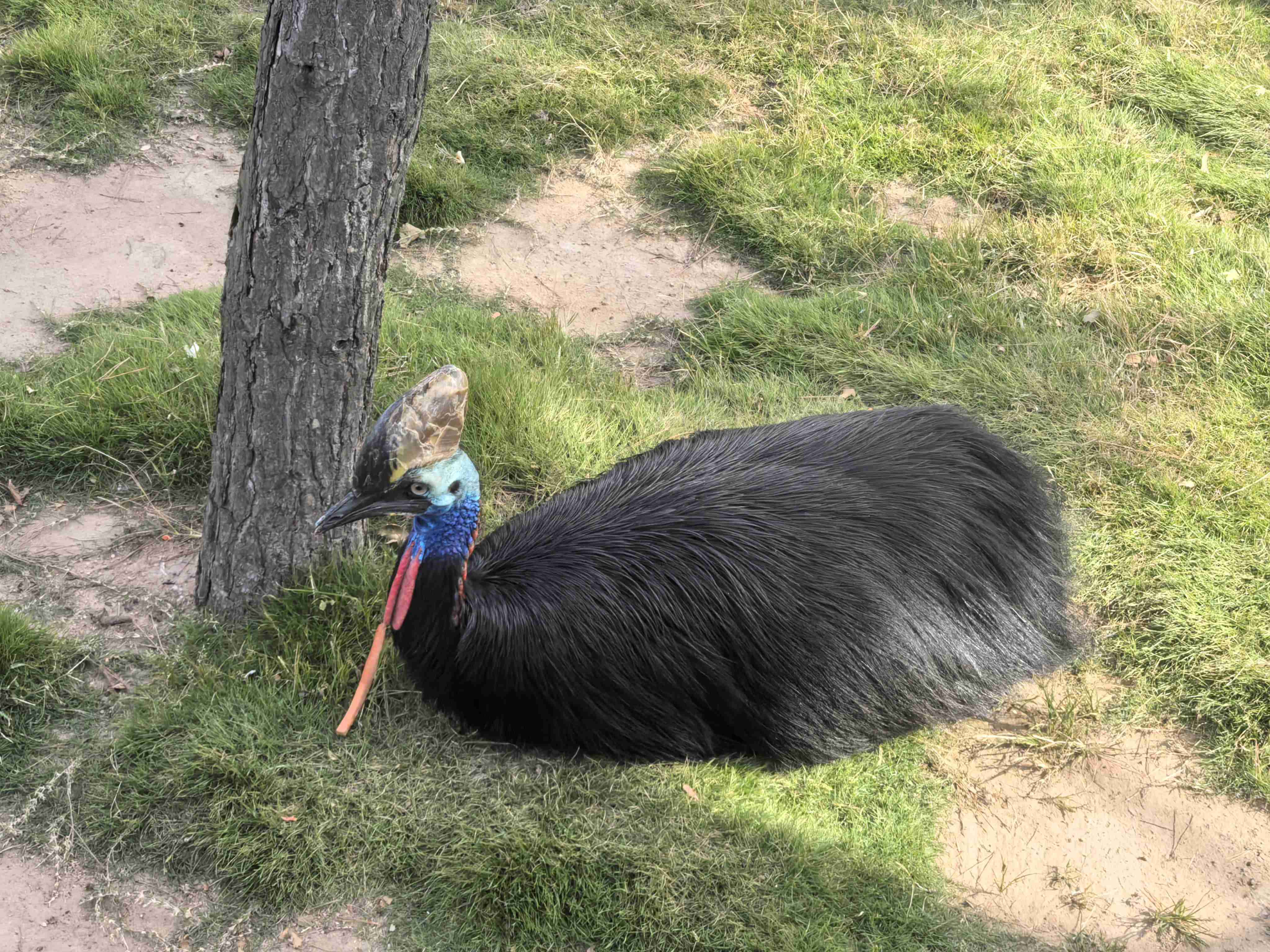 ����ͻ��-������κ�����_MG������Ϸ